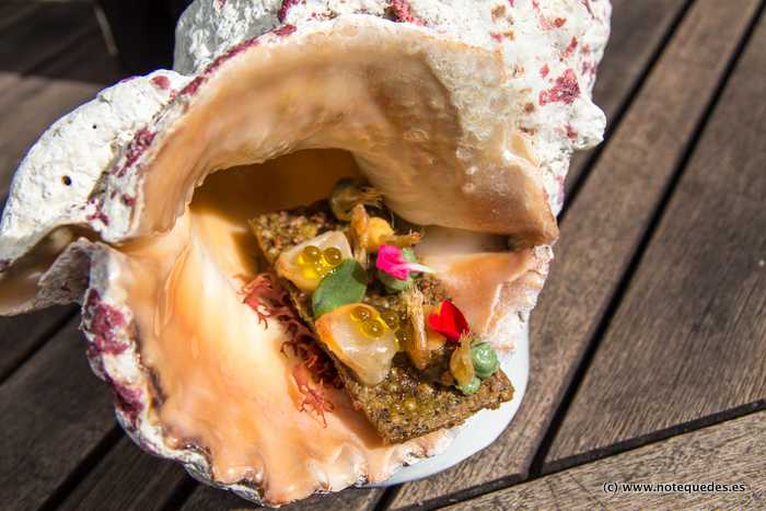 XI Campeonato Pinchos y Tapas Asturias